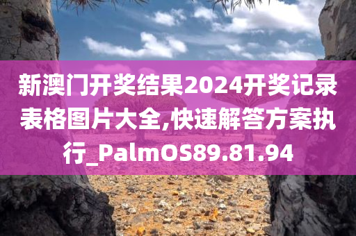 新澳门开奖结果2024开奖记录表格图片大全,快速解答方案执行_PalmOS89.81.94