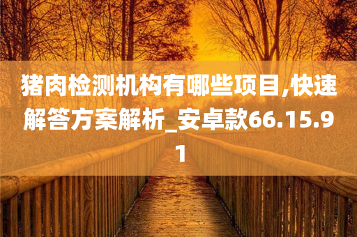 猪肉检测机构有哪些项目,快速解答方案解析_安卓款66.15.91