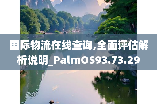 国际物流在线查询,全面评估解析说明_PalmOS93.73.29