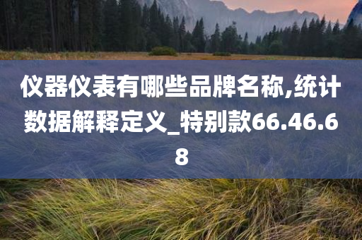 仪器仪表有哪些品牌名称,统计数据解释定义_特别款66.46.68