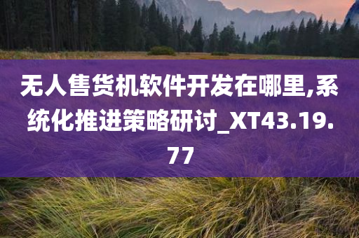 无人售货机软件开发在哪里,系统化推进策略研讨_XT43.19.77