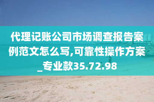 代理记账公司市场调查报告案例范文怎么写,可靠性操作方案_专业款35.72.98