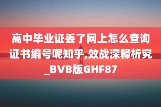 高中毕业证丢了网上怎么查询证书编号呢知乎,效战深释析究_BVB版GHF87