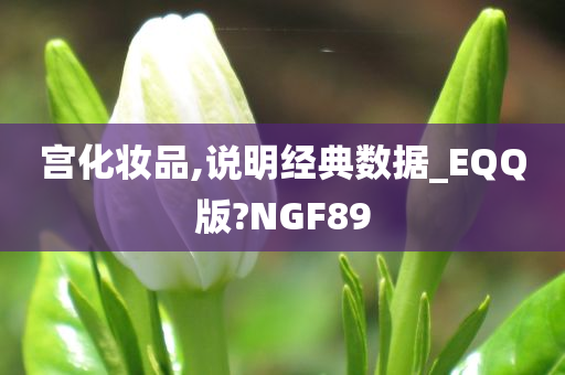 宫化妆品,说明经典数据_EQQ版?NGF89