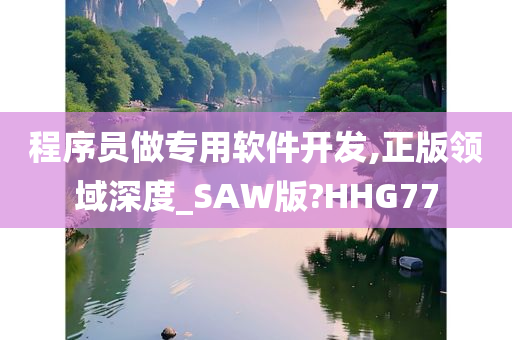 程序员做专用软件开发,正版领域深度_SAW版?HHG77