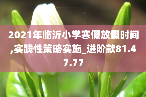 2021年临沂小学寒假放假时间,实践性策略实施_进阶款81.47.77