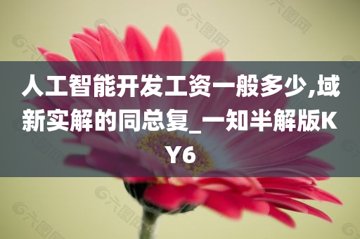 人工智能开发工资一般多少,域新实解的同总复_一知半解版KY6