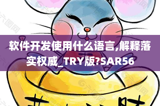 软件开发使用什么语言,解释落实权威_TRY版?SAR56