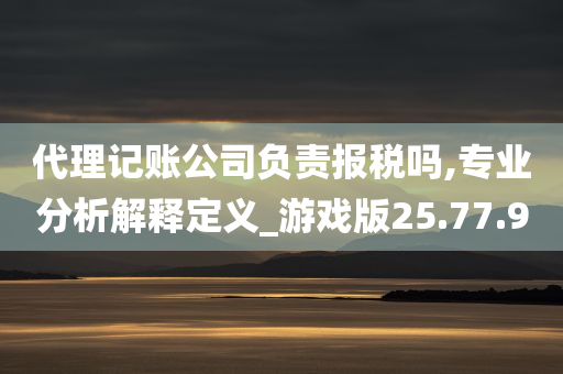 代理记账公司负责报税吗,专业分析解释定义_游戏版25.77.90