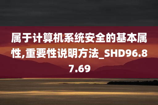 属于计算机系统安全的基本属性,重要性说明方法_SHD96.87.69