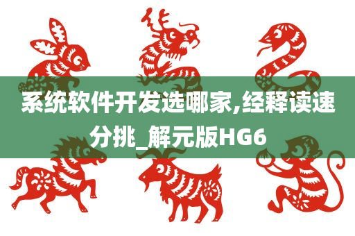 系统软件开发选哪家,经释读速分挑_解元版HG6