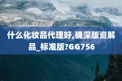 什么化妆品代理好,确深版资解品_标准版?GG756