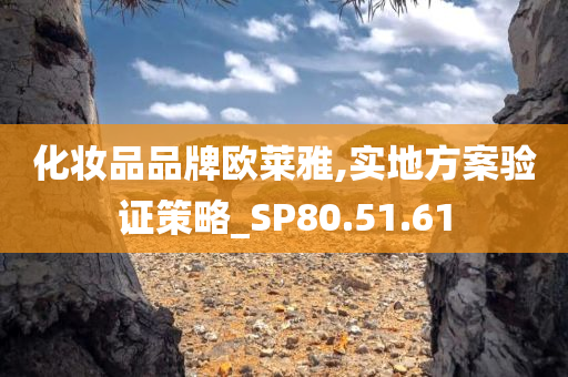 化妆品品牌欧莱雅,实地方案验证策略_SP80.51.61