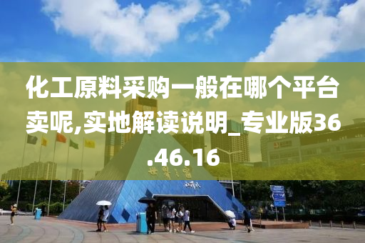 化工原料采购一般在哪个平台卖呢,实地解读说明_专业版36.46.16