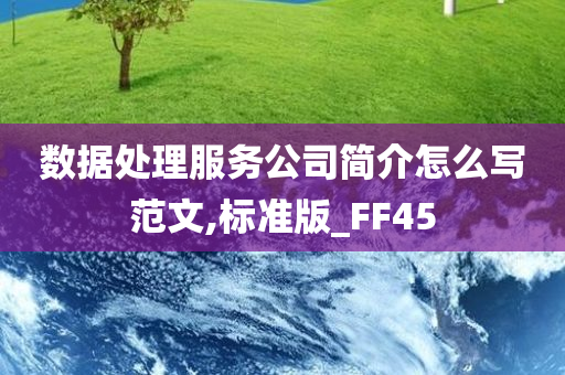 数据处理服务公司简介怎么写范文,标准版_FF45