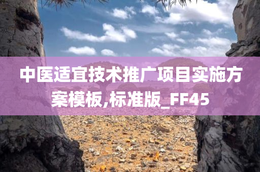 中医适宜技术推广项目实施方案模板,标准版_FF45