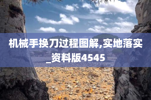 机械手换刀过程图解,实地落实_资料版4545