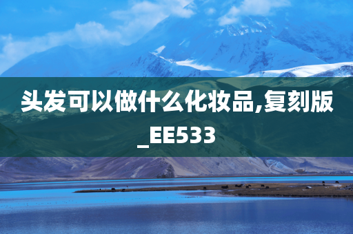 头发可以做什么化妆品,复刻版_EE533