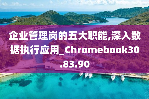 企业管理岗的五大职能,深入数据执行应用_Chromebook30.83.90