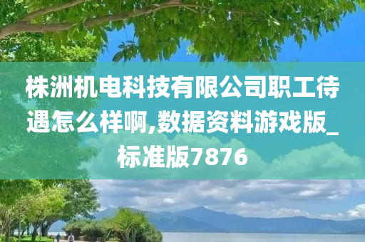 株洲机电科技有限公司职工待遇怎么样啊,数据资料游戏版_标准版7876