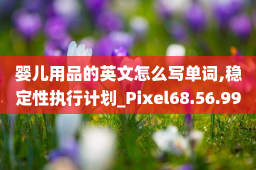 婴儿用品的英文怎么写单词,稳定性执行计划_Pixel68.56.99