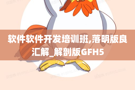 软件软件开发培训班,落明版良汇解_解剖版GFH5