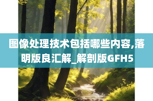 图像处理技术包括哪些内容,落明版良汇解_解剖版GFH5