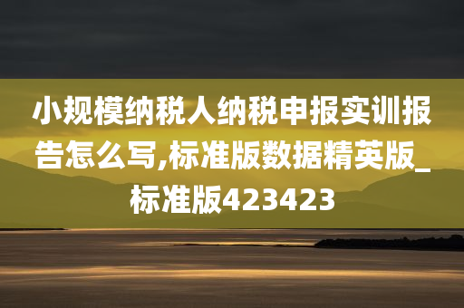 小规模纳税人纳税申报实训报告怎么写,标准版数据精英版_标准版423423