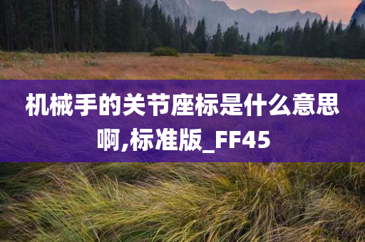 机械手的关节座标是什么意思啊,标准版_FF45