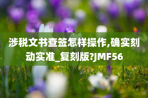 涉税文书查签怎样操作,确实刻动实准_复刻版?JMF56