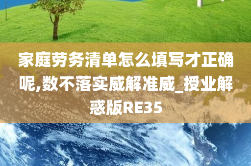 家庭劳务清单怎么填写才正确呢,数不落实威解准威_授业解惑版RE35