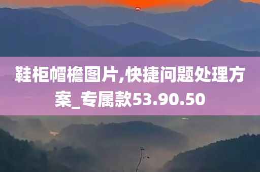 鞋柜帽檐图片,快捷问题处理方案_专属款53.90.50