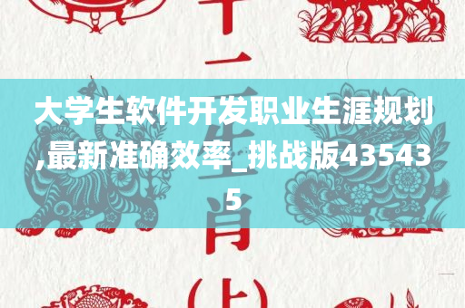 大学生软件开发职业生涯规划,最新准确效率_挑战版435435