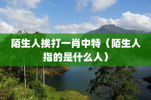 陌生人挨打一肖中特（陌生人指的是什么人）