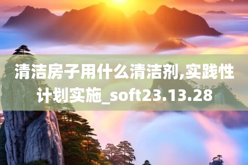 清洁房子用什么清洁剂,实践性计划实施_soft23.13.28