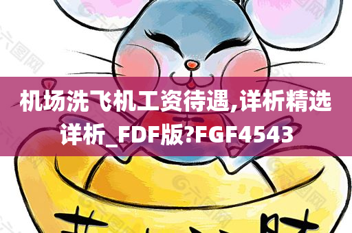 机场洗飞机工资待遇,详析精选详析_FDF版?FGF4543