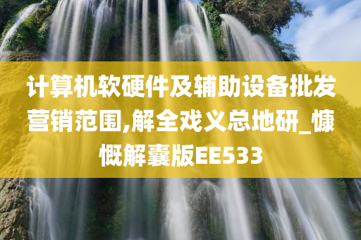 计算机软硬件及辅助设备批发营销范围,解全戏义总地研_慷慨解囊版EE533