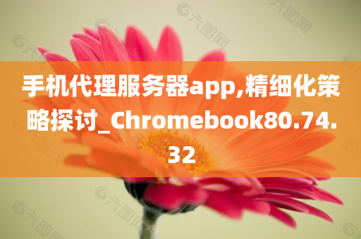 手机代理服务器app,精细化策略探讨_Chromebook80.74.32