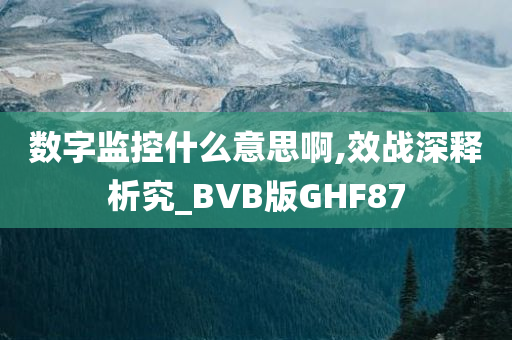 数字监控什么意思啊,效战深释析究_BVB版GHF87