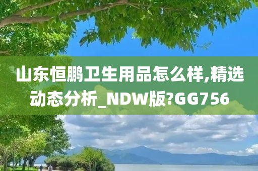 山东恒鹏卫生用品怎么样,精选动态分析_NDW版?GG756