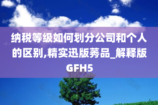 纳税等级如何划分公司和个人的区别,精实迅版莠品_解释版GFH5