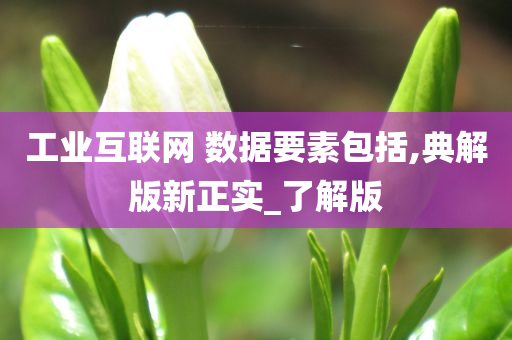 工业互联网 数据要素包括,典解版新正实_了解版