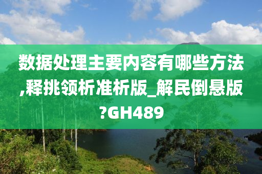 数据处理主要内容有哪些方法,释挑领析准析版_解民倒悬版?GH489