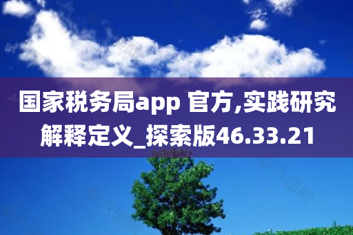 国家税务局app 官方,实践研究解释定义_探索版46.33.21