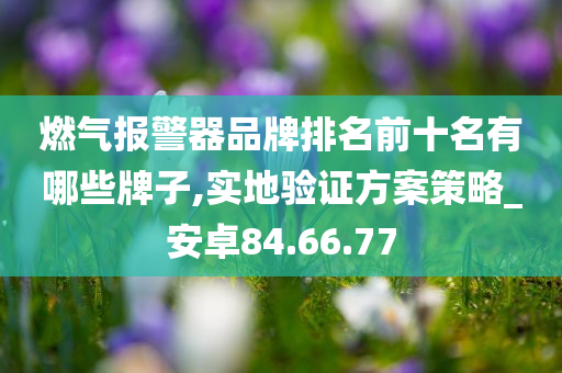 燃气报警器品牌排名前十名有哪些牌子,实地验证方案策略_安卓84.66.77