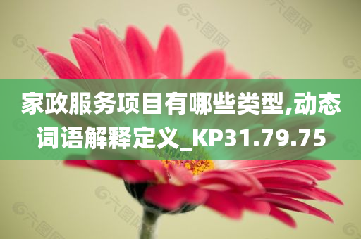 家政服务项目有哪些类型,动态词语解释定义_KP31.79.75