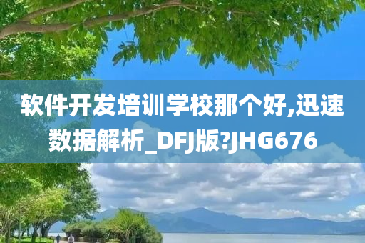 软件开发培训学校那个好,迅速数据解析_DFJ版?JHG676