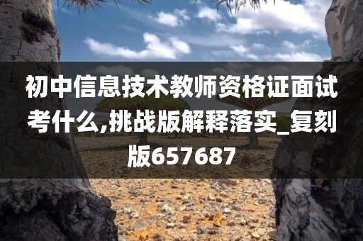 初中信息技术教师资格证面试考什么,挑战版解释落实_复刻版657687