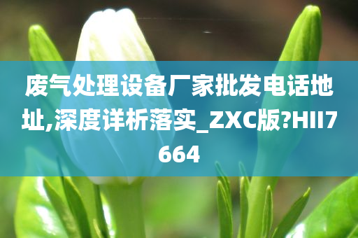 废气处理设备厂家批发电话地址,深度详析落实_ZXC版?HII7664