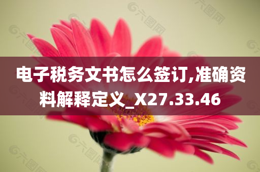 电子税务文书怎么签订,准确资料解释定义_X27.33.46